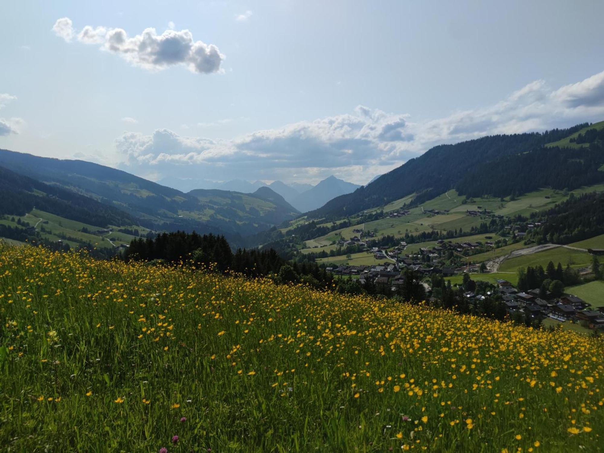 Chalet Mountain View Alpbach Εξωτερικό φωτογραφία