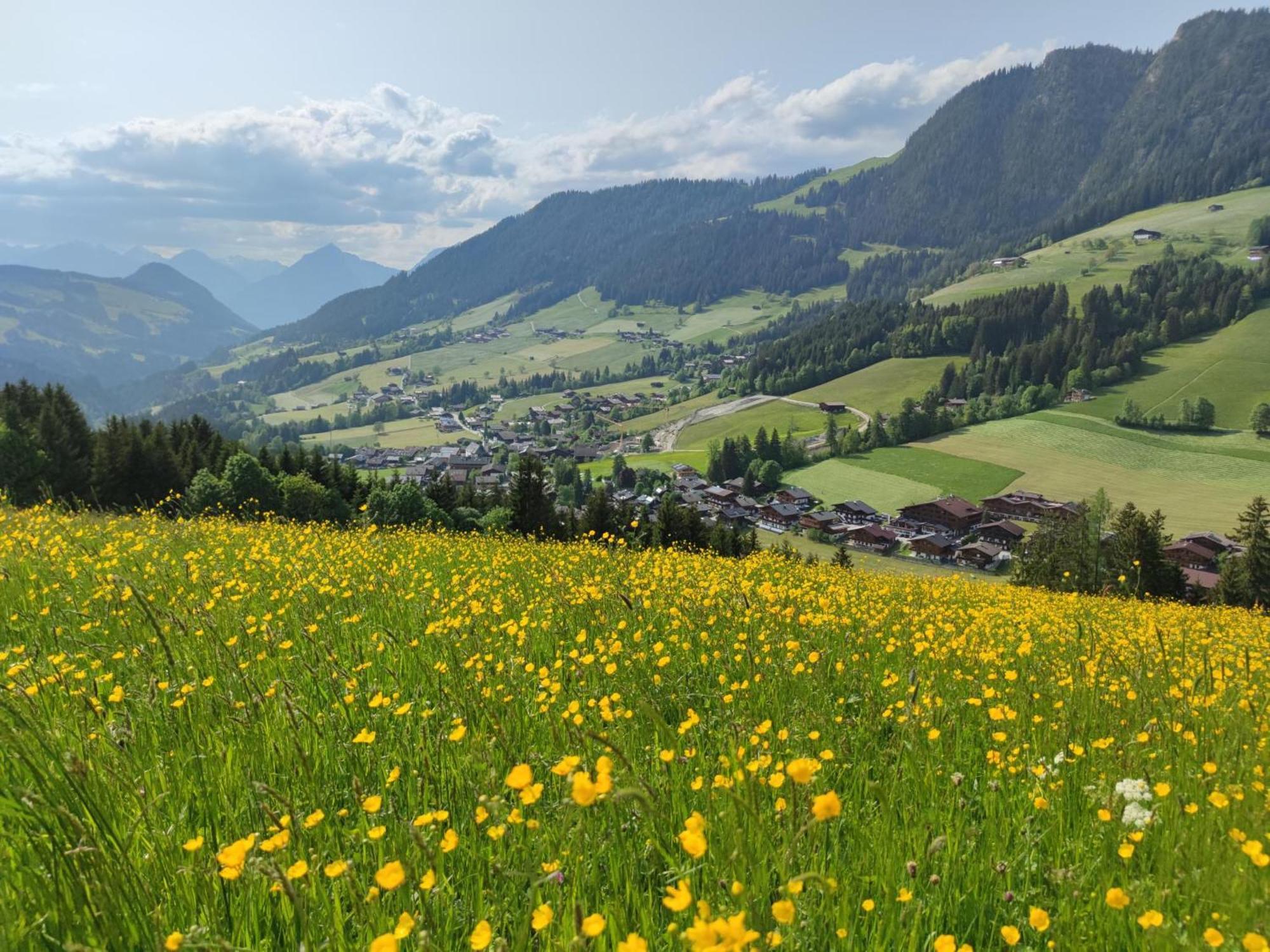 Chalet Mountain View Alpbach Εξωτερικό φωτογραφία